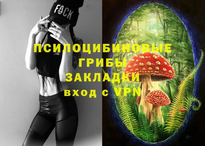 Галлюциногенные грибы Psilocybine cubensis  Чехов 